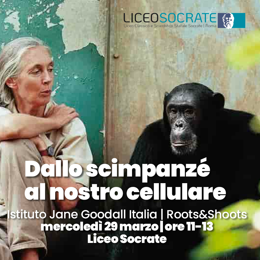 Dallo scimpanze al nostro cellulare