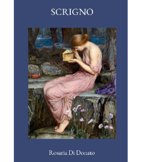 Copertina-Scrigno-Di-Donato